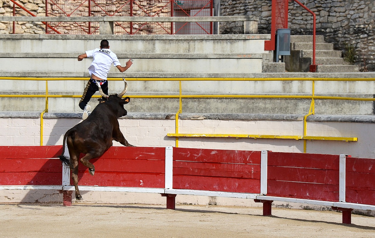 錄是多少