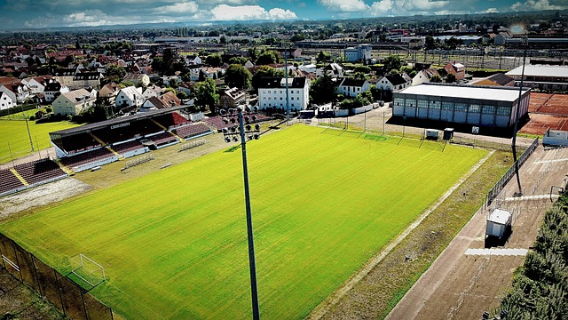 老将们在关 老将们在关